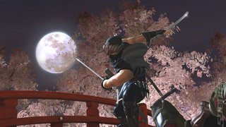 Ninja Gaiden 2 in Video Blood Shower