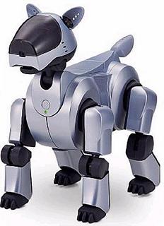 But will it talk to AIBO? That's the question...