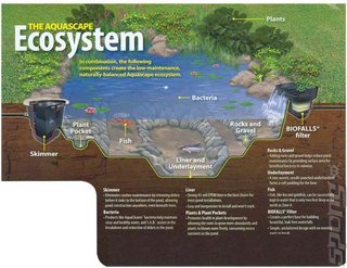 An eco-system