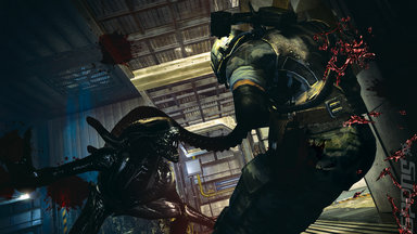 Massive Aliens: Colonial Marines Patch Goes Live