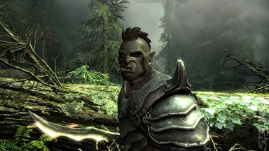 Bethesda: Skyrim is "Our Crown Jewel"
