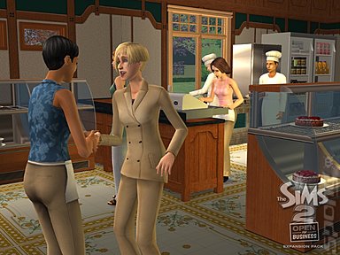 New Sims 2 Open For Business Screens