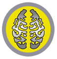Gray Matter logo