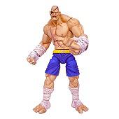Cool Street Fighter toys that you can't have!
