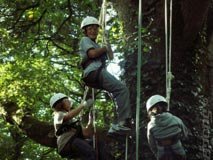 PlayStation Generation Never Climb Trees - Daily Mail