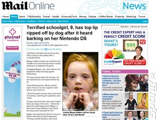 'Newspaper' Blames Nintendo DS for Dog Mauling Child