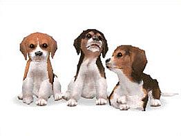 Nintendogs Explained - Barking Mad or Man's Best Friend?