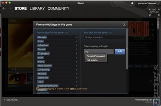 Steam Tags: Madness for Valve or Just Good Business