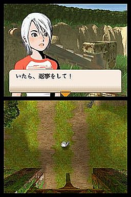 Range of Titles Prompts DS Jap-Jealousy