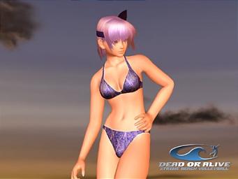 Take and save photographs during Dead or Alive Extreme Beach Volleyball