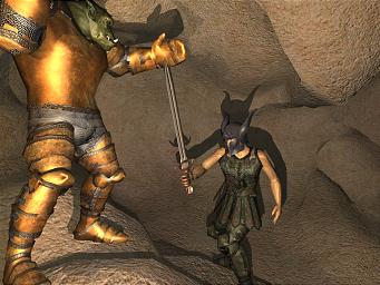 Sony Online Entertainment Announces Innovative Adventure Packs For EverQuest II